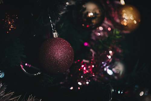 ornament baubles hung on Christmas tree tree
